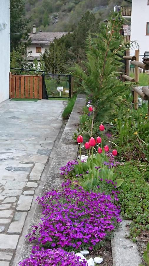 B&B Maison Odille Вальтурнанш Экстерьер фото